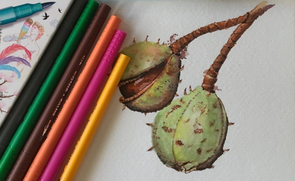 Chestnut Drawing - Royal Talens