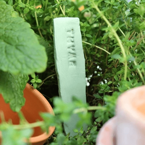 Make your own plant labels - Royal Talens