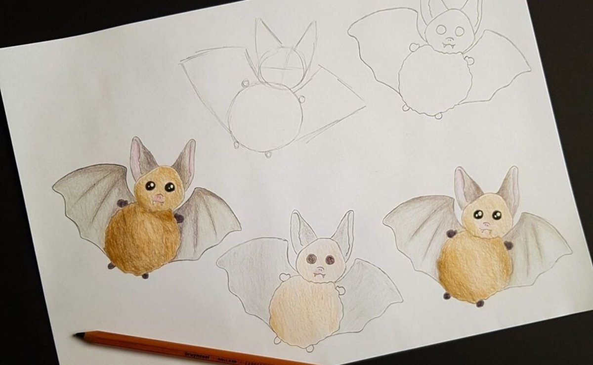 Drawing a bat - Royal Talens