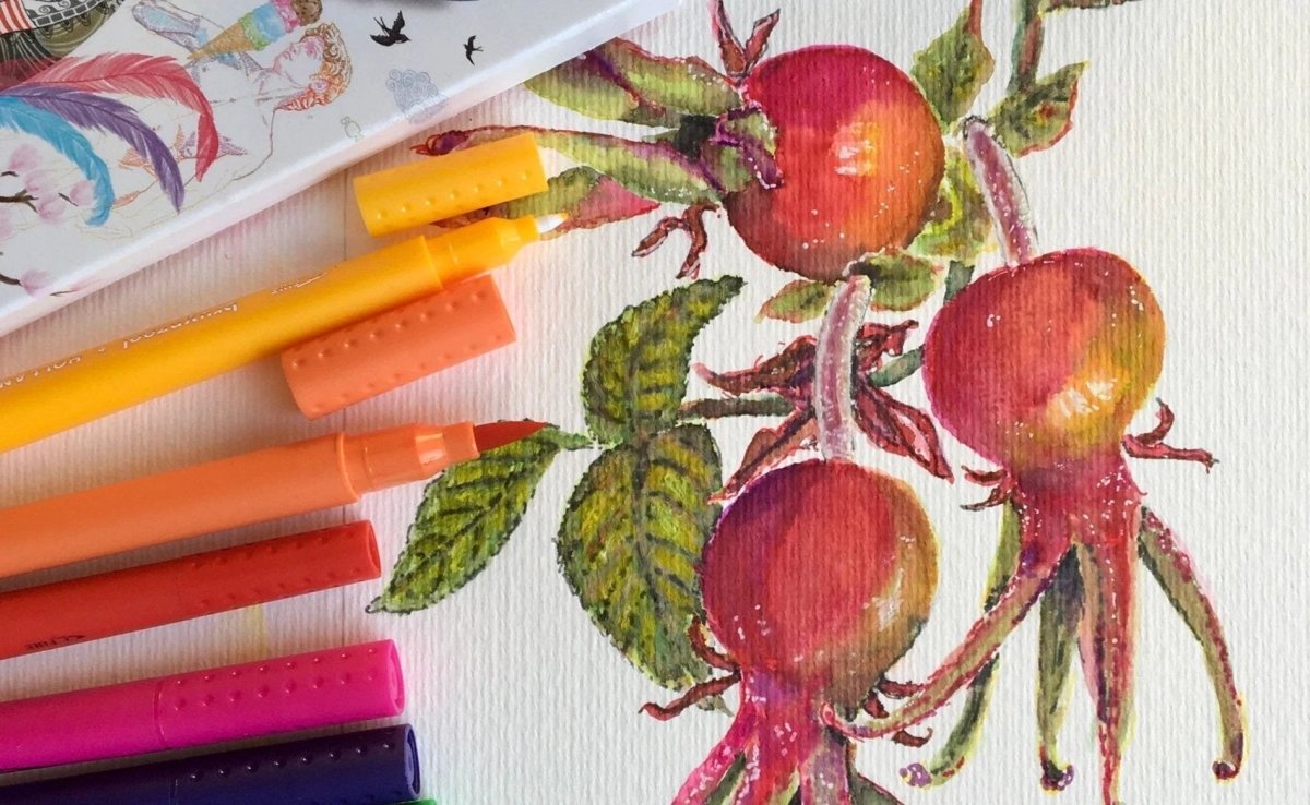 Rose hips Drawing - Royal Talens