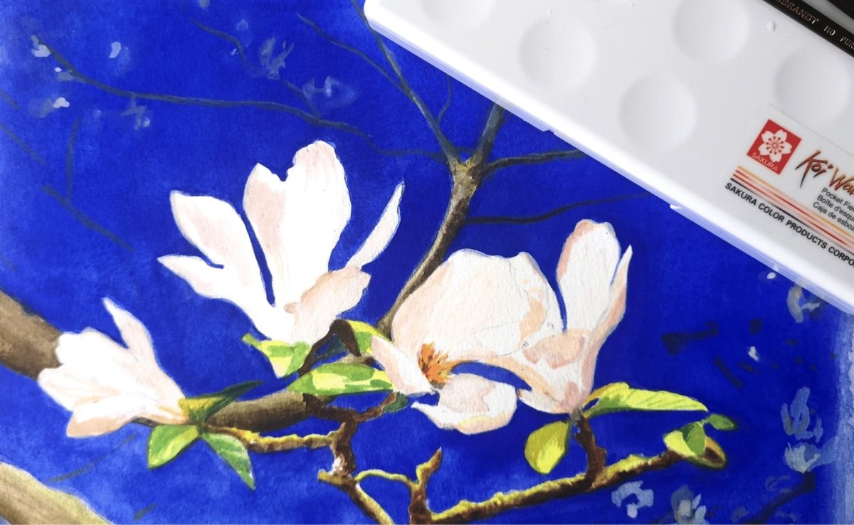 Painting magnolias in watercolour - Royal Talens