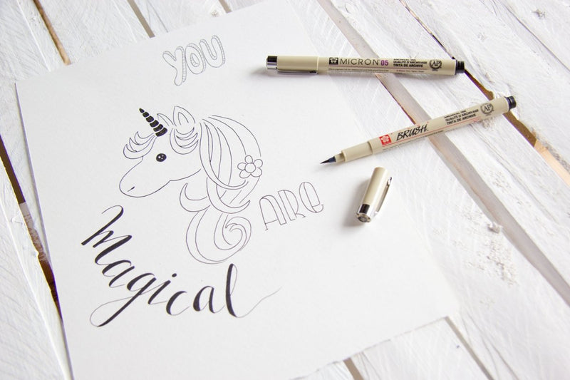 Pigma Calligrapher