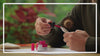 How to refill your Talens | Pantone markers