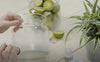 Frosted glass effect