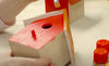 Painting birdhouses